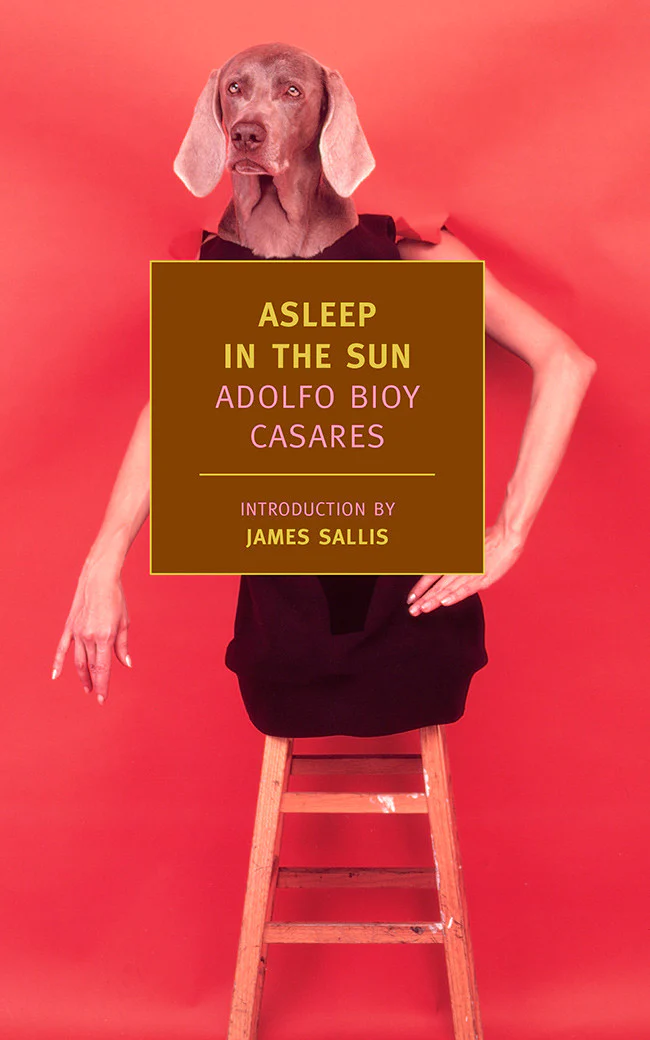 Cover of Asleep in the Sun