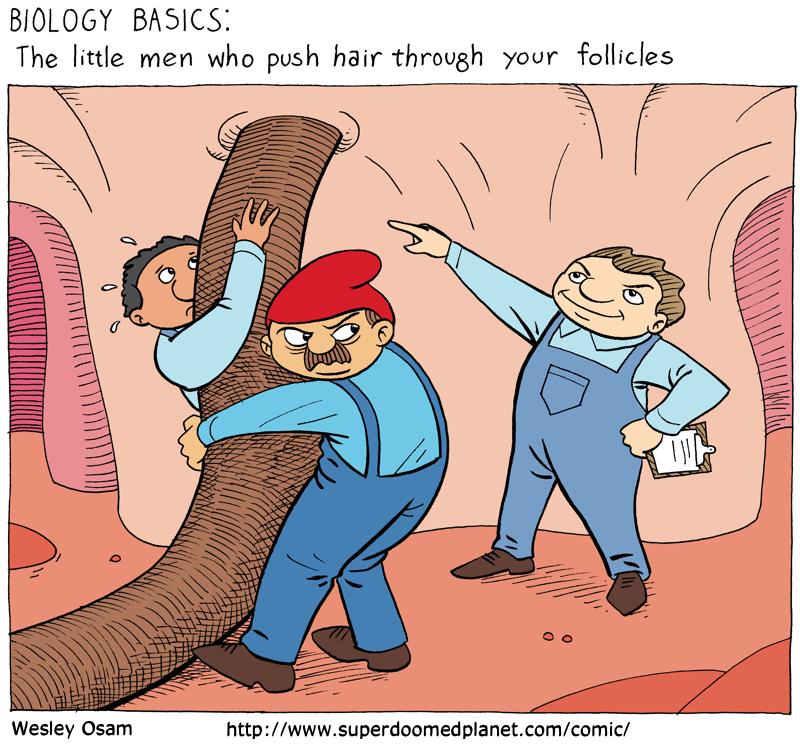 Biology Basics: The Little Men Who Push Hair Through Your Follicles