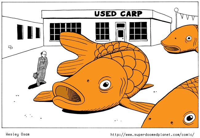 Used Carp.