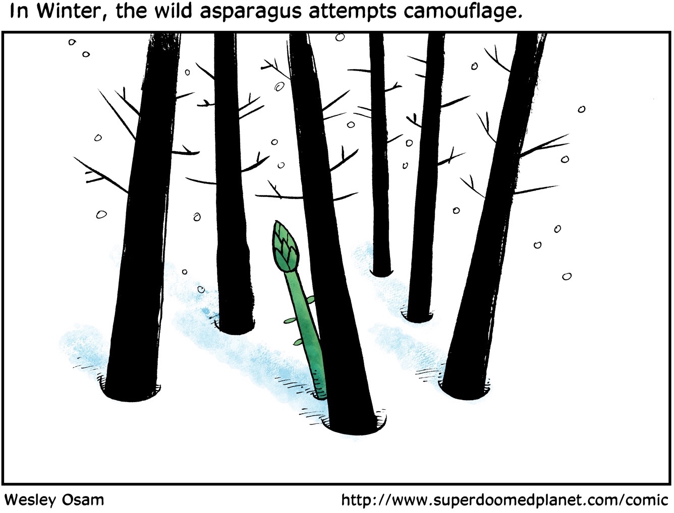 Cartoon--An Asparagus Fact