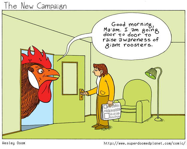 The New Campaign